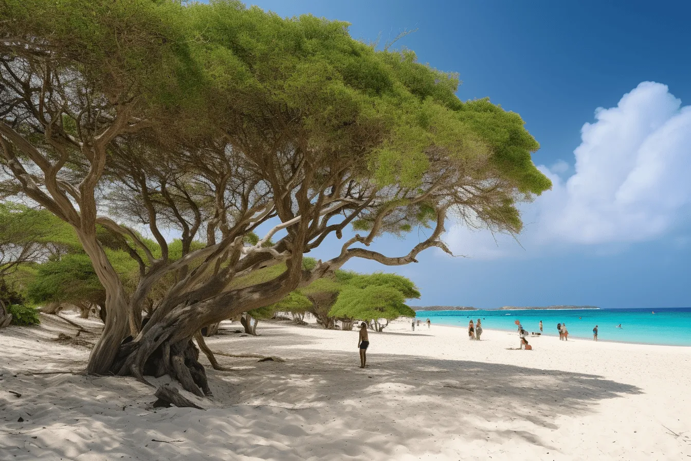 Aruba image